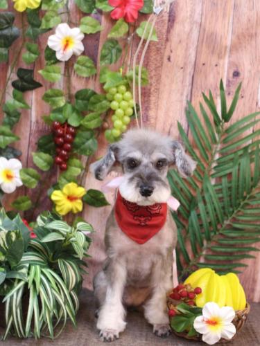 20230819ラーラちゃん